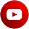 ICONS-21 (9)
